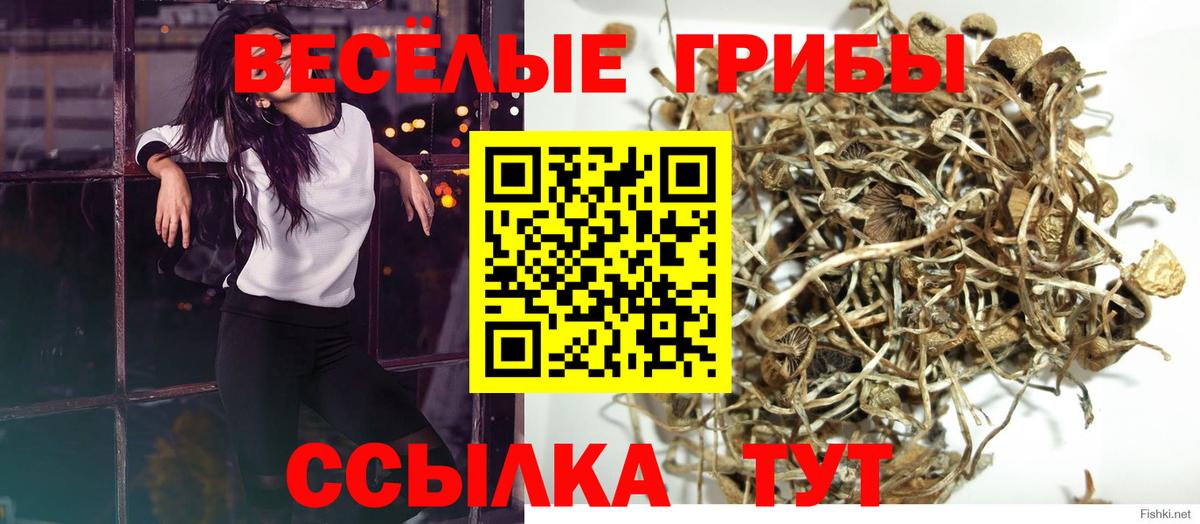 Псилоцибиновые грибы GOLDEN TEACHER  Галлюциногенные грибы MAGIC MUSHROOMS  Обь  закладка  Вход с VPN 